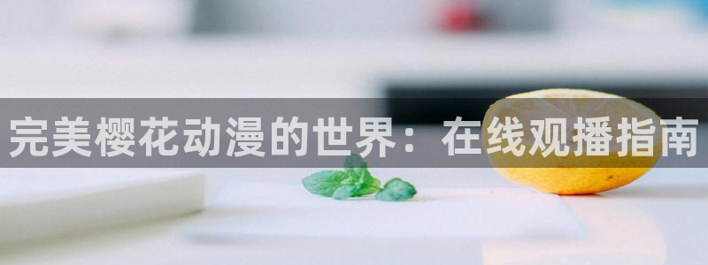 星空视频在线