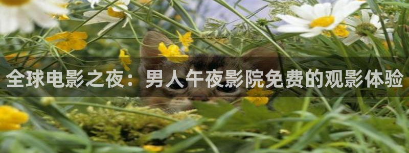 妈妈的朋友樱花视频