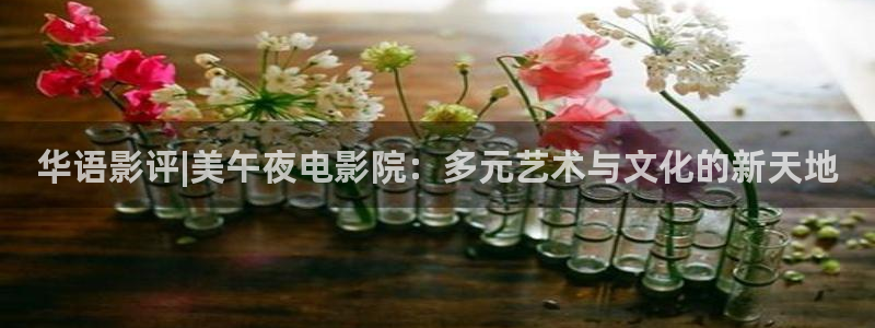 樱花视频云飞跃
