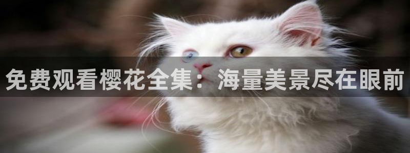 临沧樱花视频今日影讯