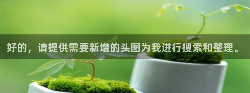 樱花视频免费看电视剧柳舟记