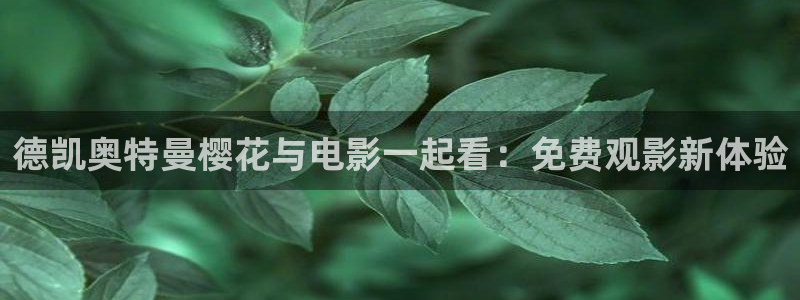 都盛星空的电影在线观看