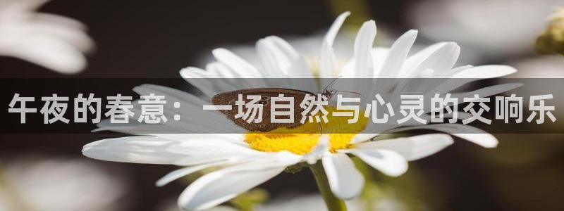 星空无限影视传媒官网