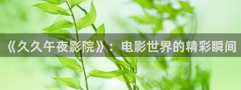 星空影视伦理