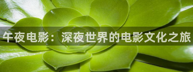 星空电影正片