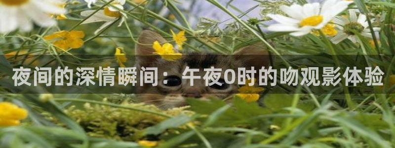 樱花视频免费播放
