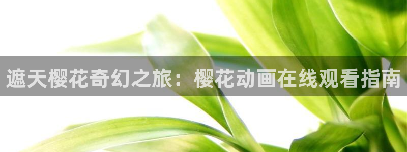 樱花视频手机在线观看