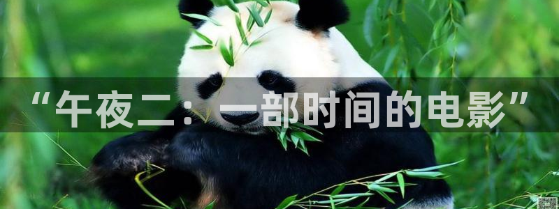 樱花视频免费在线观看电影