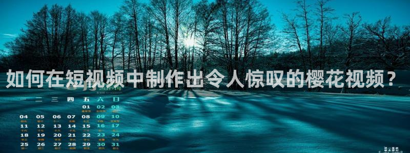 电影 星空