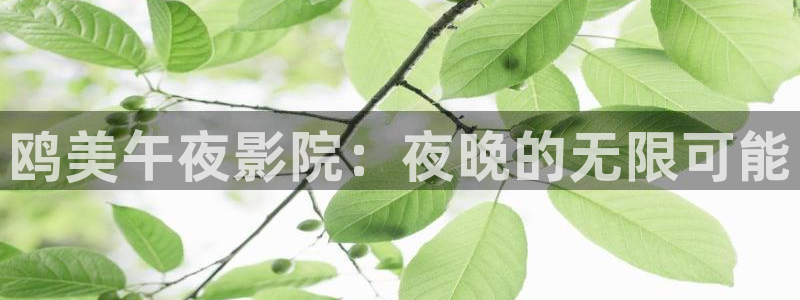 潜伏星空影视