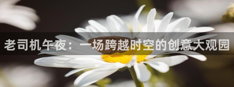 樱花视频电视剧免费观看
